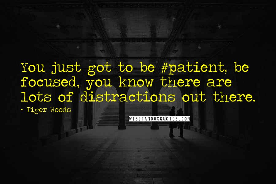 Tiger Woods Quotes: You just got to be #patient, be focused, you know there are lots of distractions out there.