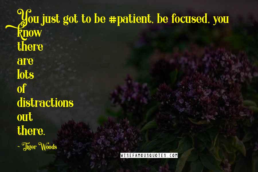 Tiger Woods Quotes: You just got to be #patient, be focused, you know there are lots of distractions out there.