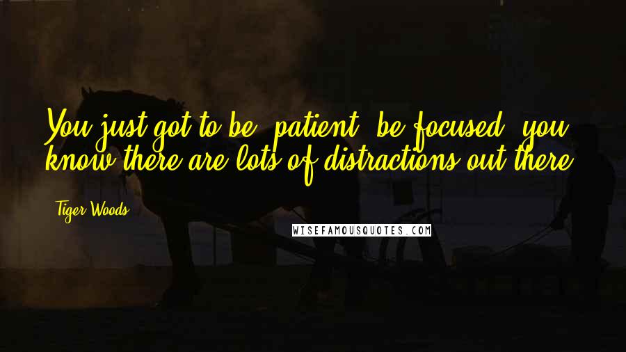 Tiger Woods Quotes: You just got to be #patient, be focused, you know there are lots of distractions out there.