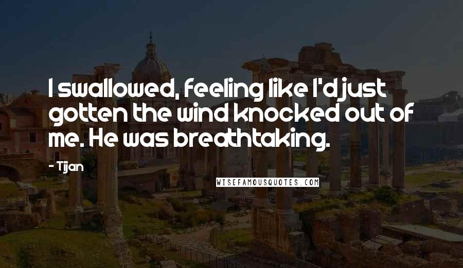 Tijan Quotes: I swallowed, feeling like I'd just gotten the wind knocked out of me. He was breathtaking.