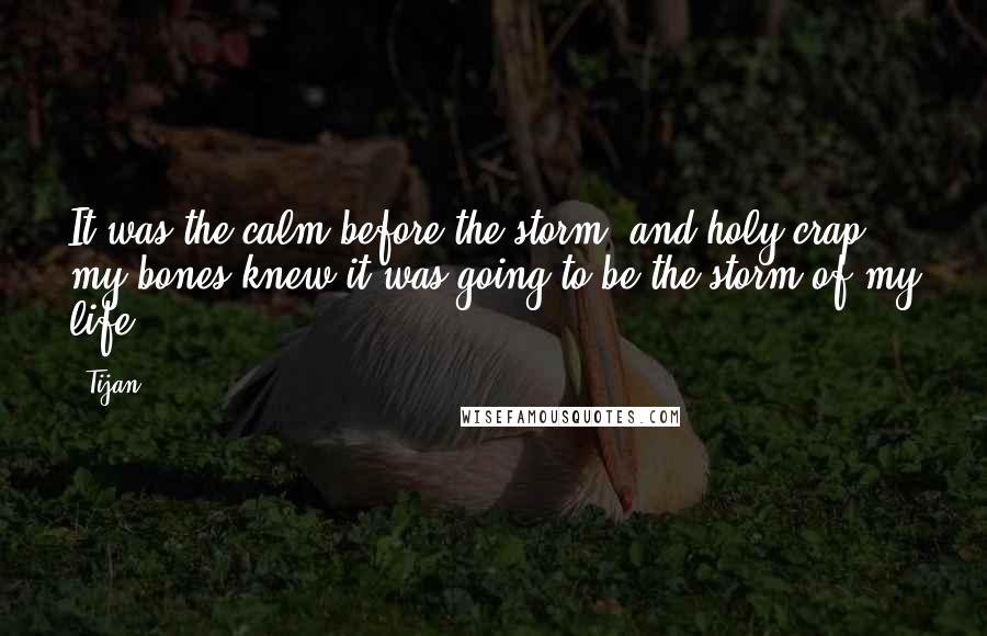 Tijan Quotes: It was the calm before the storm, and holy crap, my bones knew it was going to be the storm of my life.