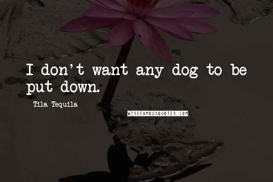 Tila Tequila Quotes: I don't want any dog to be put down.