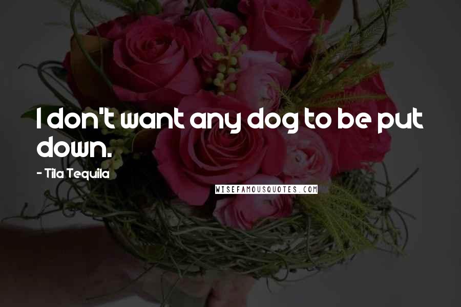 Tila Tequila Quotes: I don't want any dog to be put down.