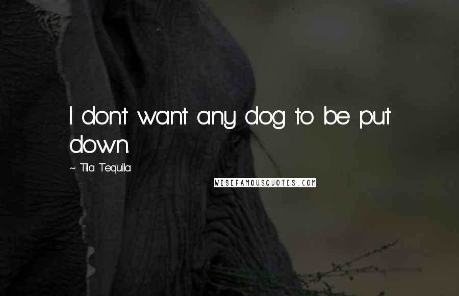 Tila Tequila Quotes: I don't want any dog to be put down.