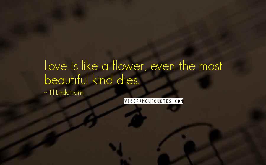 Till Lindemann Quotes: Love is like a flower, even the most beautiful kind dies.