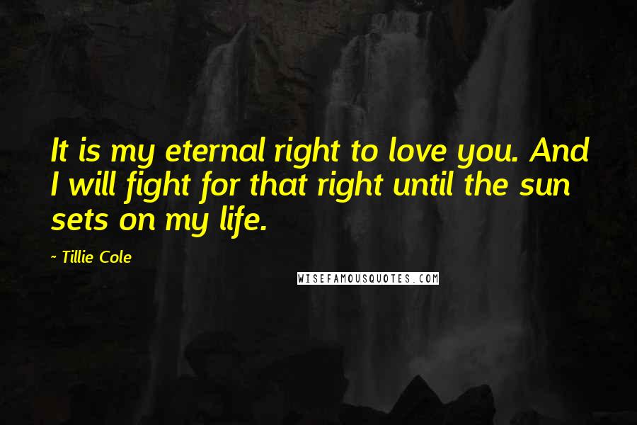 Tillie Cole Quotes: It is my eternal right to love you. And I will fight for that right until the sun sets on my life.