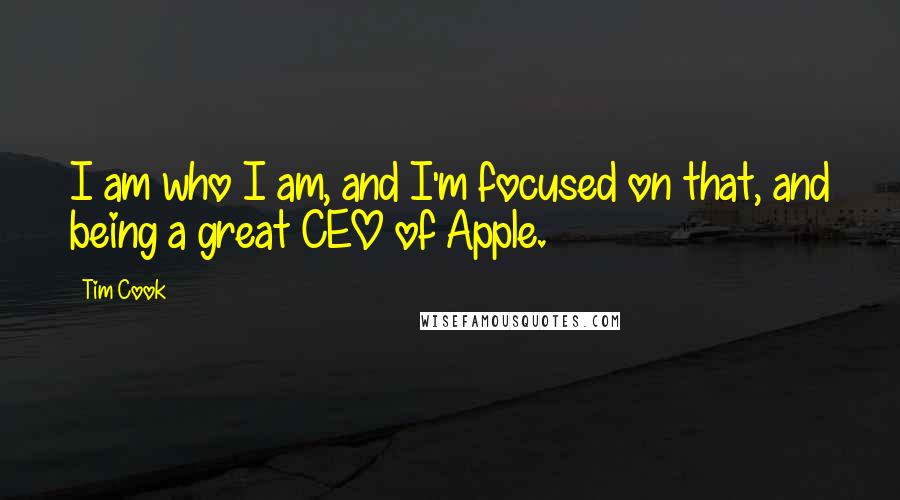 Tim Cook Quotes: I am who I am, and I'm focused on that, and being a great CEO of Apple.