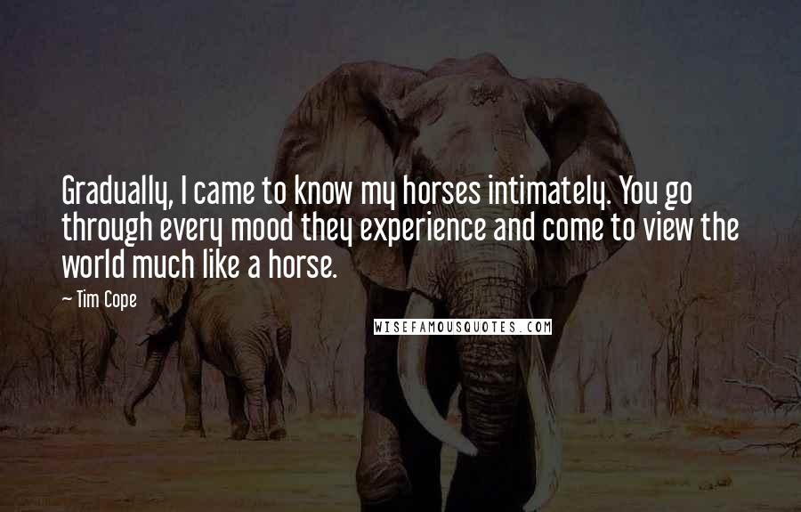 Tim Cope Quotes: Gradually, I came to know my horses intimately. You go through every mood they experience and come to view the world much like a horse.