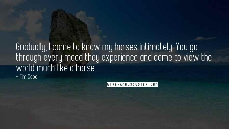 Tim Cope Quotes: Gradually, I came to know my horses intimately. You go through every mood they experience and come to view the world much like a horse.