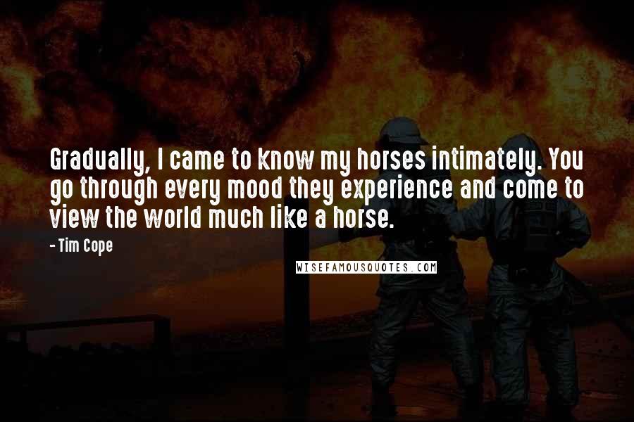 Tim Cope Quotes: Gradually, I came to know my horses intimately. You go through every mood they experience and come to view the world much like a horse.