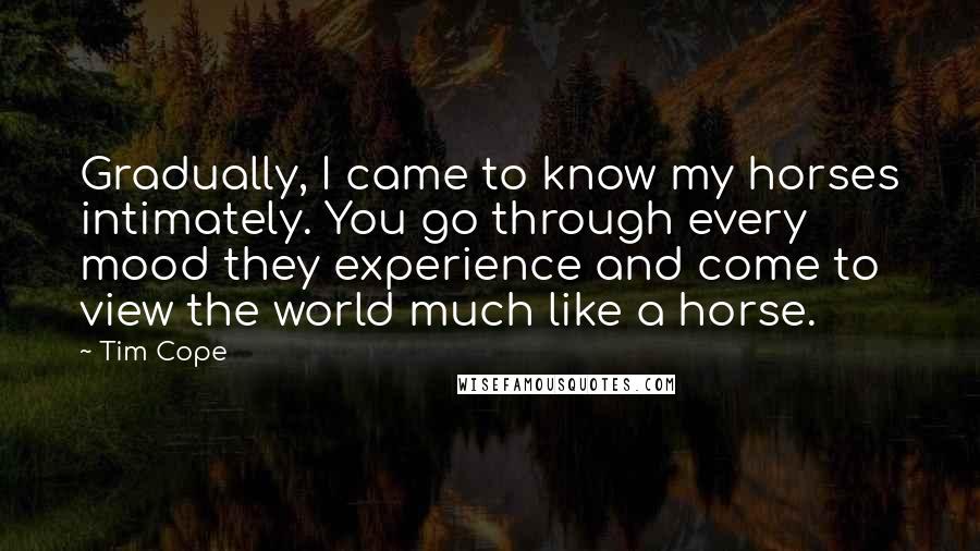 Tim Cope Quotes: Gradually, I came to know my horses intimately. You go through every mood they experience and come to view the world much like a horse.