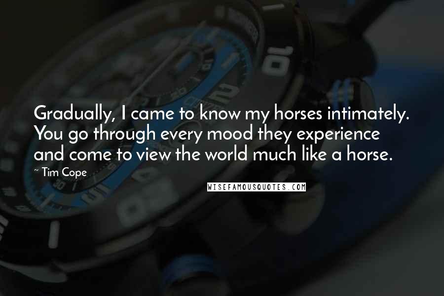 Tim Cope Quotes: Gradually, I came to know my horses intimately. You go through every mood they experience and come to view the world much like a horse.