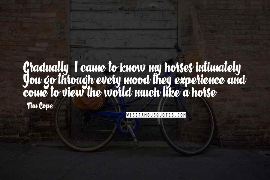 Tim Cope Quotes: Gradually, I came to know my horses intimately. You go through every mood they experience and come to view the world much like a horse.