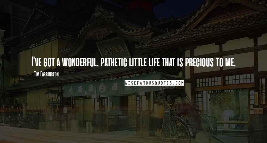 Tim Farrington Quotes: I've got a wonderful, pathetic little life that is precious to me.