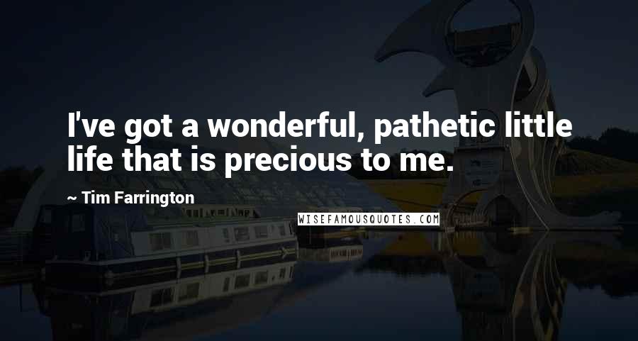 Tim Farrington Quotes: I've got a wonderful, pathetic little life that is precious to me.