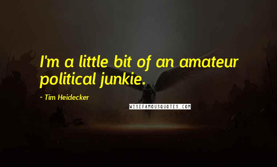 Tim Heidecker Quotes: I'm a little bit of an amateur political junkie.