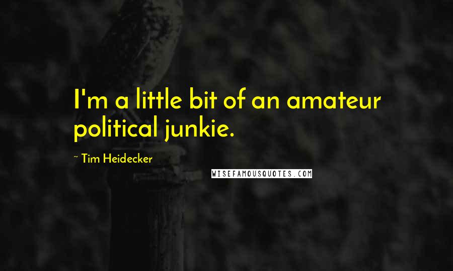 Tim Heidecker Quotes: I'm a little bit of an amateur political junkie.