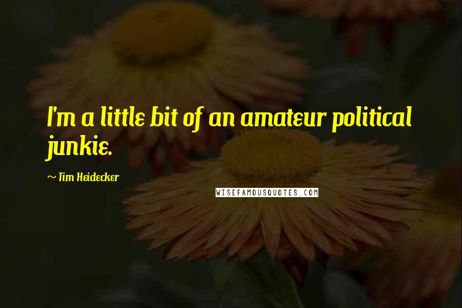 Tim Heidecker Quotes: I'm a little bit of an amateur political junkie.