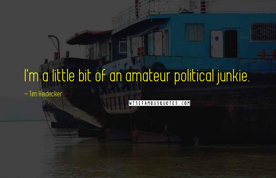 Tim Heidecker Quotes: I'm a little bit of an amateur political junkie.