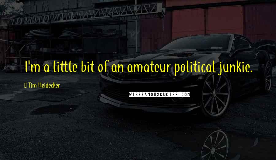 Tim Heidecker Quotes: I'm a little bit of an amateur political junkie.