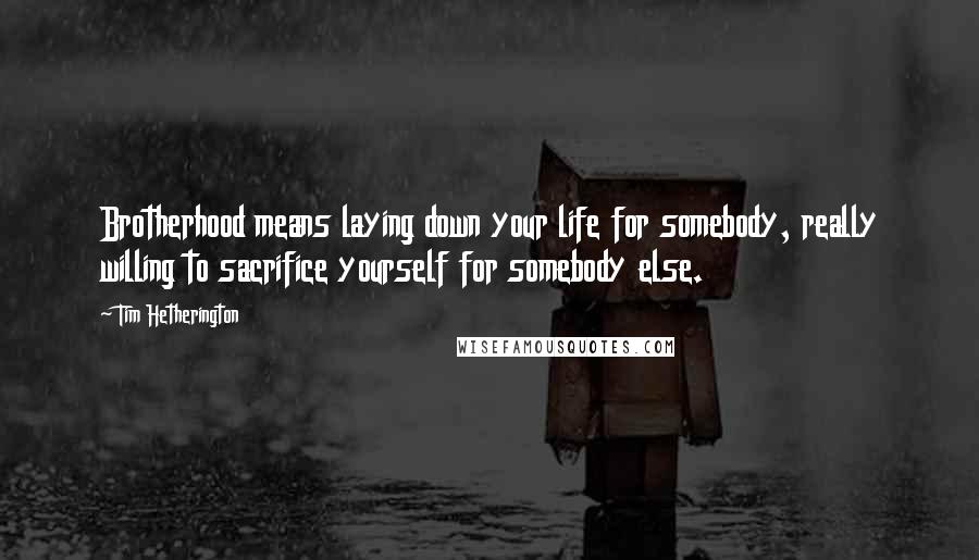 Tim Hetherington Quotes: Brotherhood means laying down your life for somebody, really willing to sacrifice yourself for somebody else.