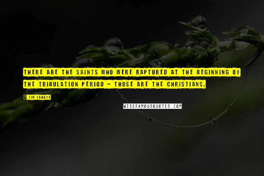 Tim LaHaye Quotes: There are the saints who were raptured at the beginning of the tribulation period - those are the Christians.