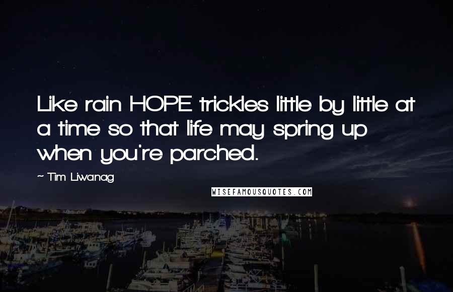 Tim Liwanag Quotes: Like rain HOPE trickles little by little at a time so that life may spring up when you're parched.