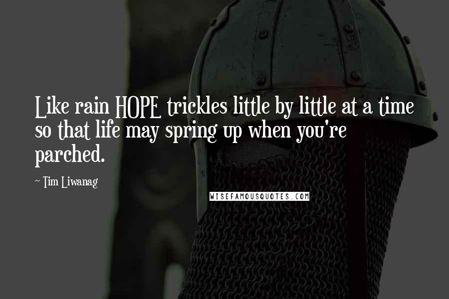 Tim Liwanag Quotes: Like rain HOPE trickles little by little at a time so that life may spring up when you're parched.