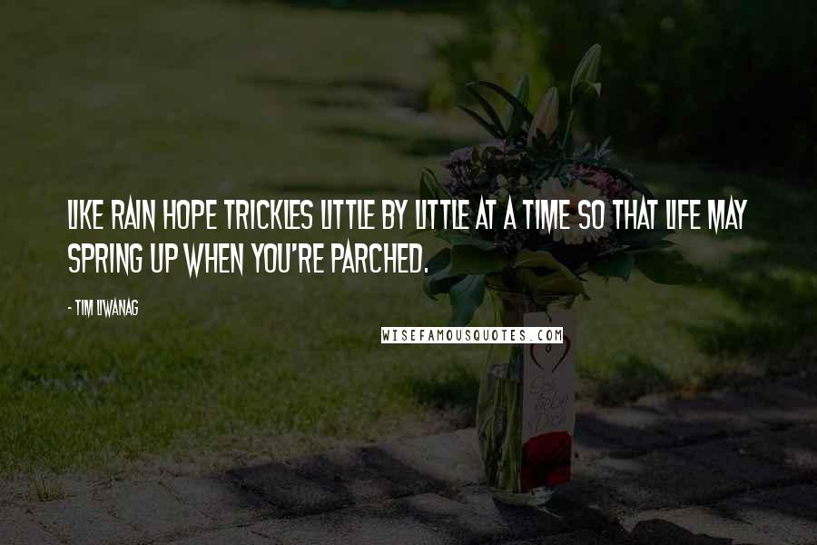 Tim Liwanag Quotes: Like rain HOPE trickles little by little at a time so that life may spring up when you're parched.