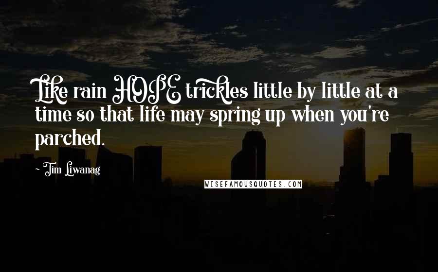Tim Liwanag Quotes: Like rain HOPE trickles little by little at a time so that life may spring up when you're parched.