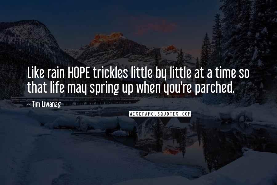 Tim Liwanag Quotes: Like rain HOPE trickles little by little at a time so that life may spring up when you're parched.