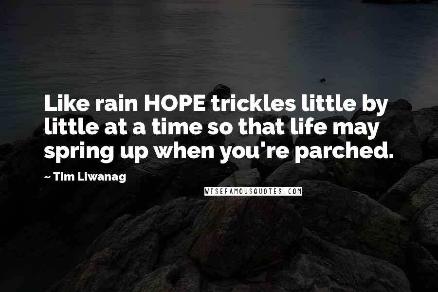 Tim Liwanag Quotes: Like rain HOPE trickles little by little at a time so that life may spring up when you're parched.