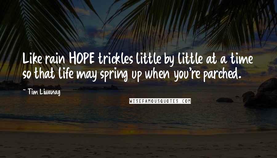 Tim Liwanag Quotes: Like rain HOPE trickles little by little at a time so that life may spring up when you're parched.