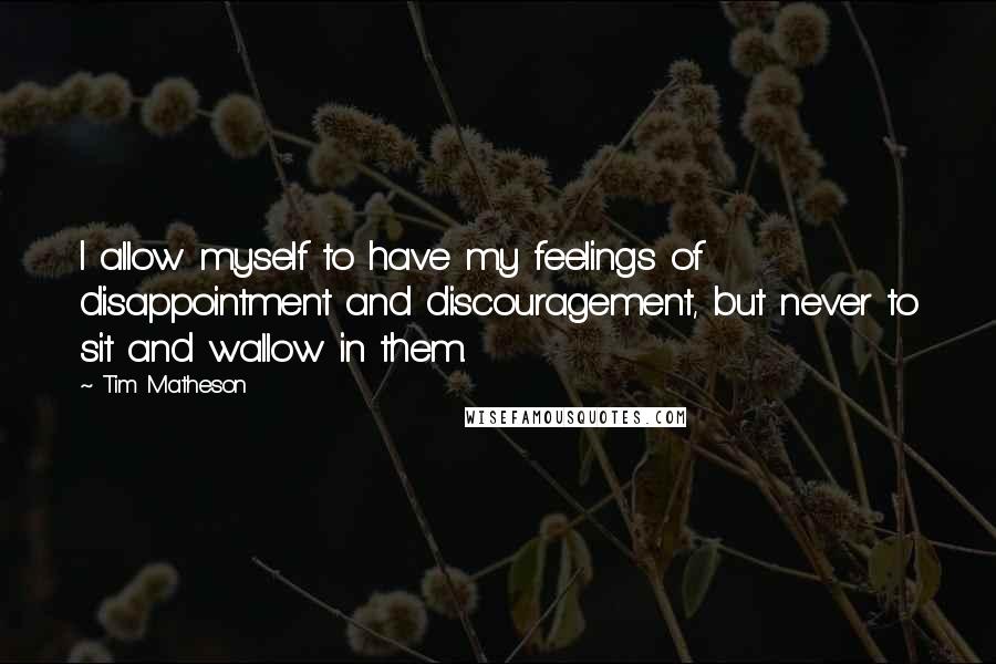 Tim Matheson Quotes: I allow myself to have my feelings of disappointment and discouragement, but never to sit and wallow in them.