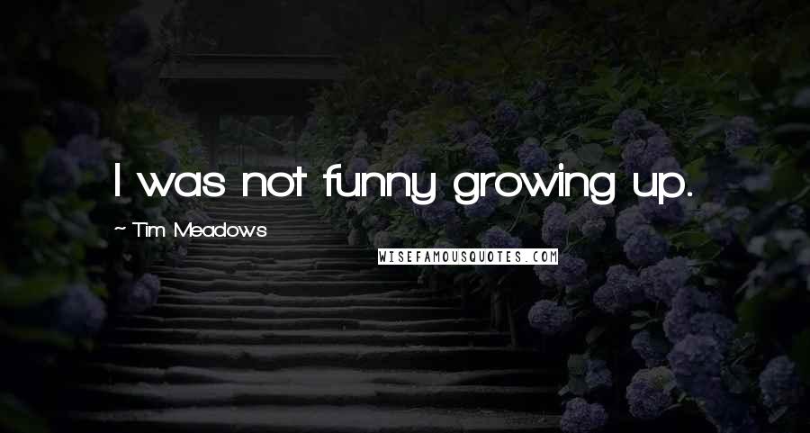 Tim Meadows Quotes: I was not funny growing up.