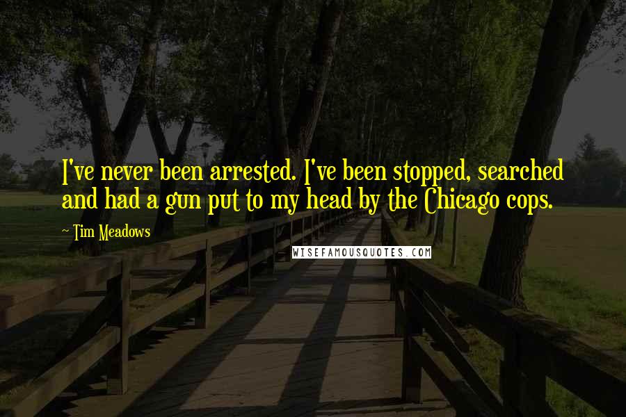 Tim Meadows Quotes: I've never been arrested. I've been stopped, searched and had a gun put to my head by the Chicago cops.