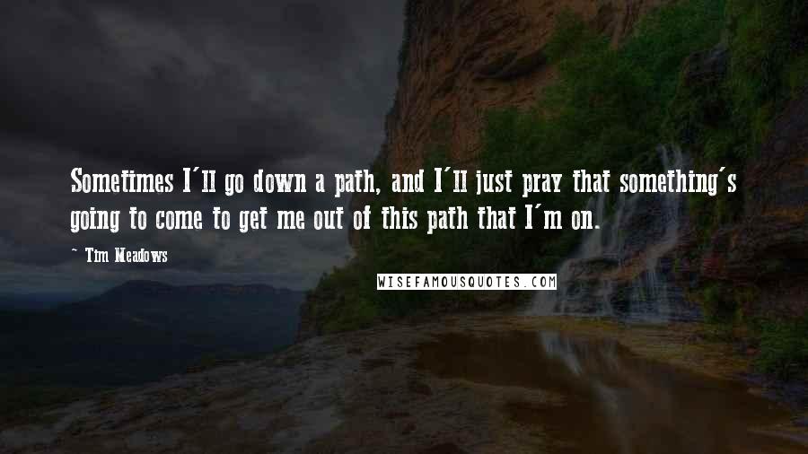 Tim Meadows Quotes: Sometimes I'll go down a path, and I'll just pray that something's going to come to get me out of this path that I'm on.