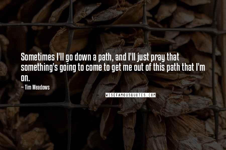 Tim Meadows Quotes: Sometimes I'll go down a path, and I'll just pray that something's going to come to get me out of this path that I'm on.