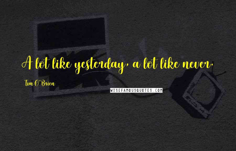 Tim O'Brien Quotes: A lot like yesterday, a lot like never.
