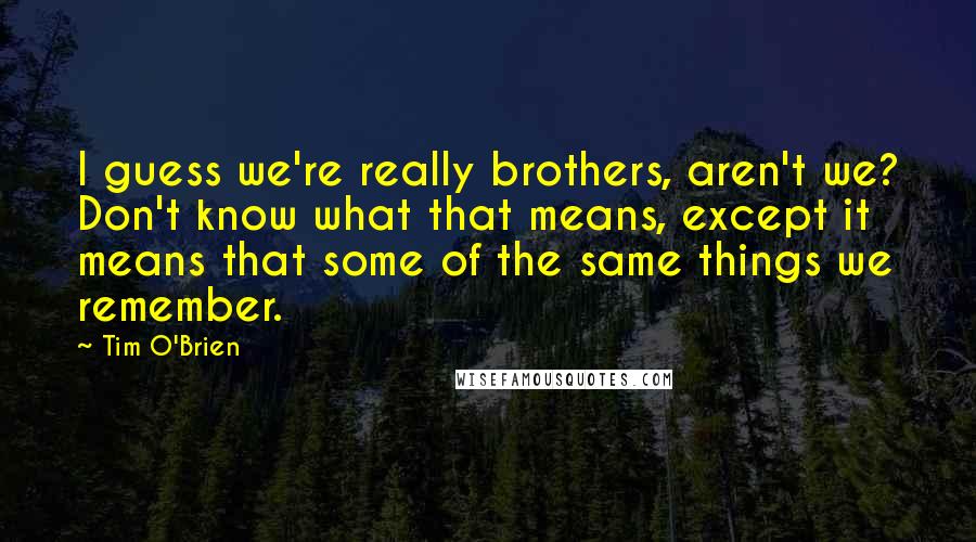 Tim O'Brien Quotes: I guess we're really brothers, aren't we? Don't know what that means, except it means that some of the same things we remember.