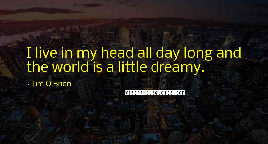 Tim O'Brien Quotes: I live in my head all day long and the world is a little dreamy.