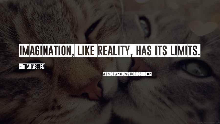 Tim O'Brien Quotes: Imagination, like reality, has its limits.