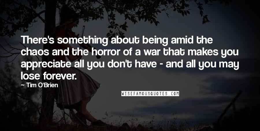 Tim O'Brien Quotes: There's something about being amid the chaos and the horror of a war that makes you appreciate all you don't have - and all you may lose forever.