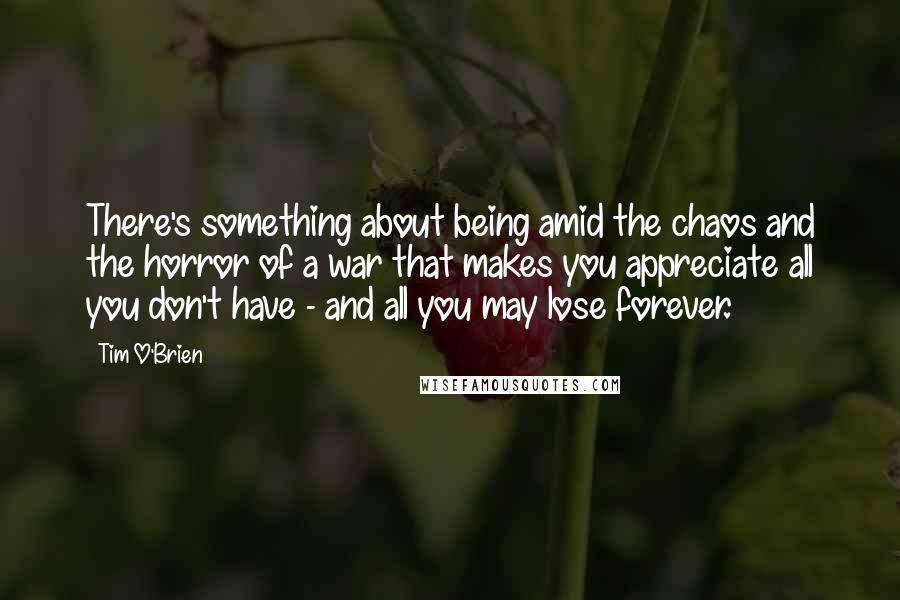 Tim O'Brien Quotes: There's something about being amid the chaos and the horror of a war that makes you appreciate all you don't have - and all you may lose forever.