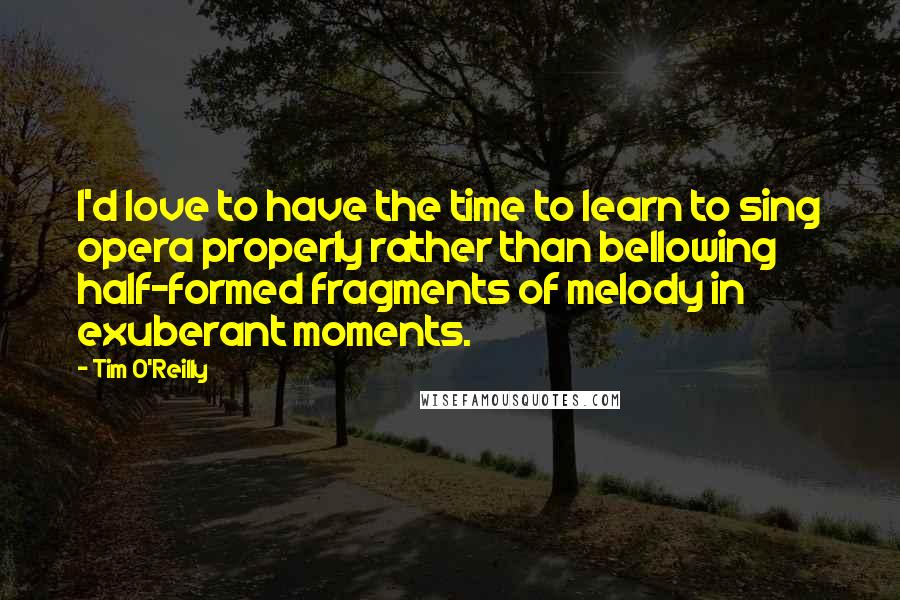 Tim O'Reilly Quotes: I'd love to have the time to learn to sing opera properly rather than bellowing half-formed fragments of melody in exuberant moments.