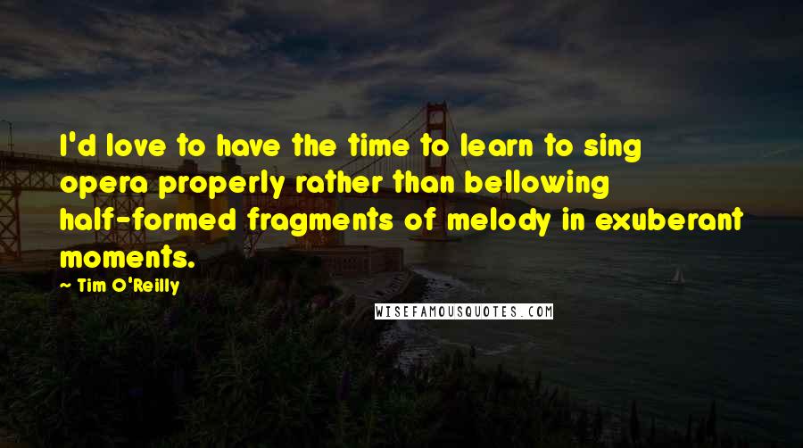 Tim O'Reilly Quotes: I'd love to have the time to learn to sing opera properly rather than bellowing half-formed fragments of melody in exuberant moments.