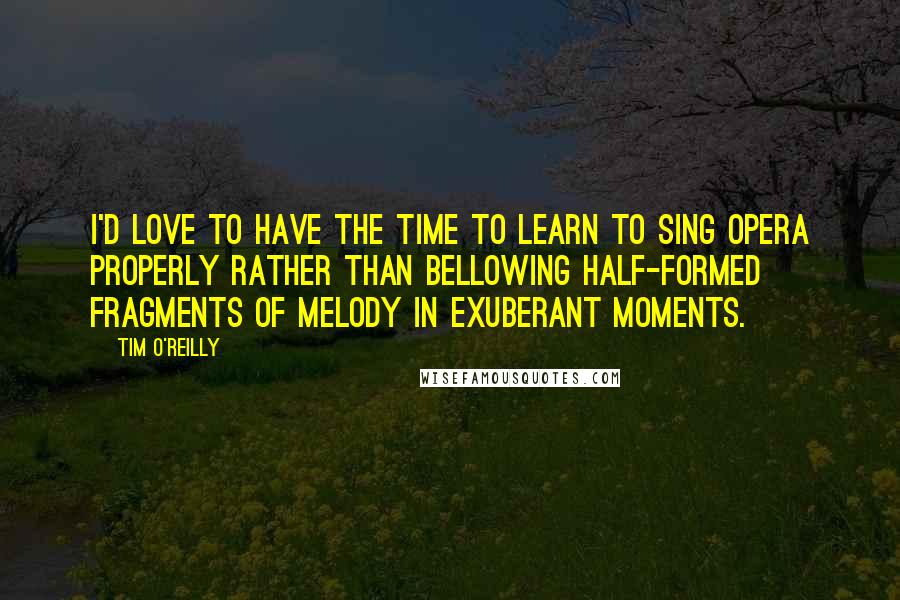 Tim O'Reilly Quotes: I'd love to have the time to learn to sing opera properly rather than bellowing half-formed fragments of melody in exuberant moments.