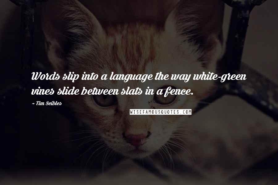 Tim Seibles Quotes: Words slip into a language the way white-green vines slide between slats in a fence.