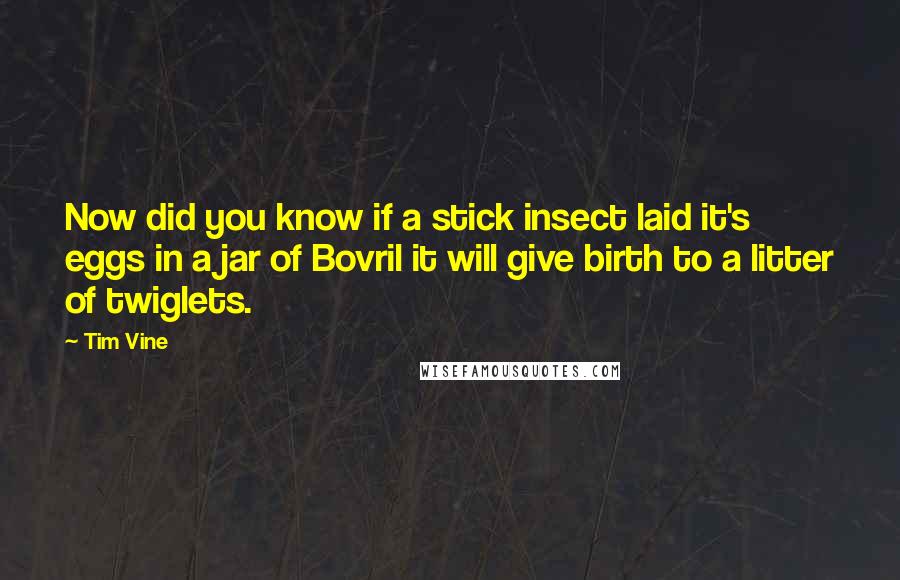 Tim Vine Quotes: Now did you know if a stick insect laid it's eggs in a jar of Bovril it will give birth to a litter of twiglets.