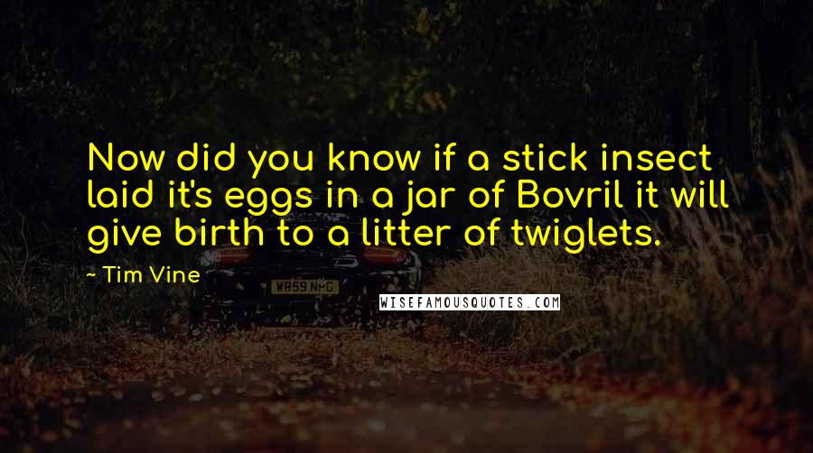 Tim Vine Quotes: Now did you know if a stick insect laid it's eggs in a jar of Bovril it will give birth to a litter of twiglets.